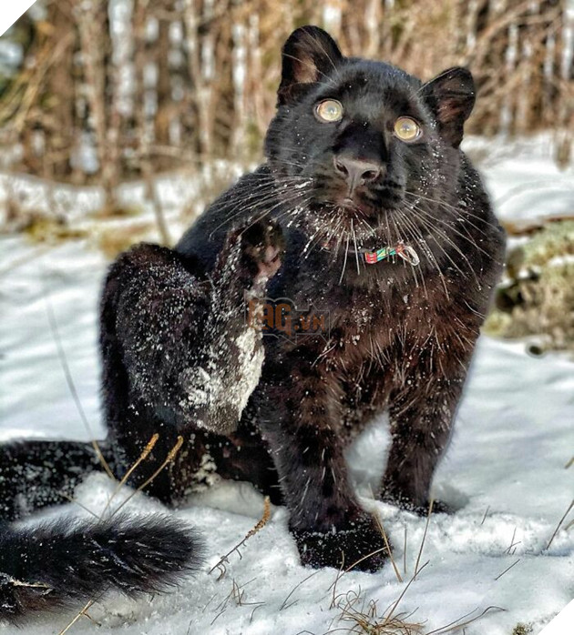 Bị chính báo mẹ bỏ rơi - Bé báo con được 1 người phụ nữ cưu mang và sống 1 cuộc đời hạnh phúc 25