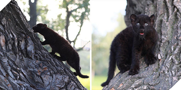 Bị chính báo mẹ bỏ rơi - Bé báo con được 1 người phụ nữ cưu mang và sống 1 cuộc đời hạnh phúc 9