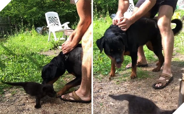 Chủ sở hữu giới thiệu họ một cách cẩn thận.