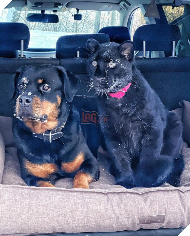 Bị chính báo mẹ bỏ rơi - Bé báo con được 1 người phụ nữ cưu mang và sống 1 cuộc đời hạnh phúc 20