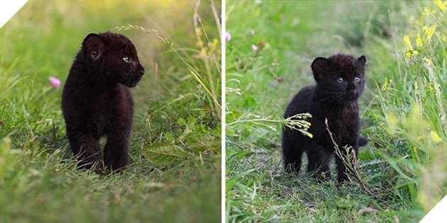 Bị chính báo mẹ bỏ rơi - Bé báo con được 1 người phụ nữ cưu mang và sống 1 cuộc đời hạnh phúc 8