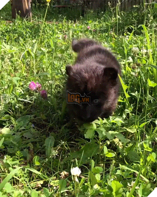 Bị chính báo mẹ bỏ rơi - Bé báo con được 1 người phụ nữ cưu mang và sống 1 cuộc đời hạnh phúc 7