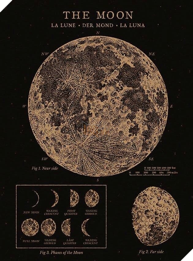 Trend Moon Phase là gì ? Bói Moon Phase có ảnh hưởng gì đến tính cách của bạn ? 4