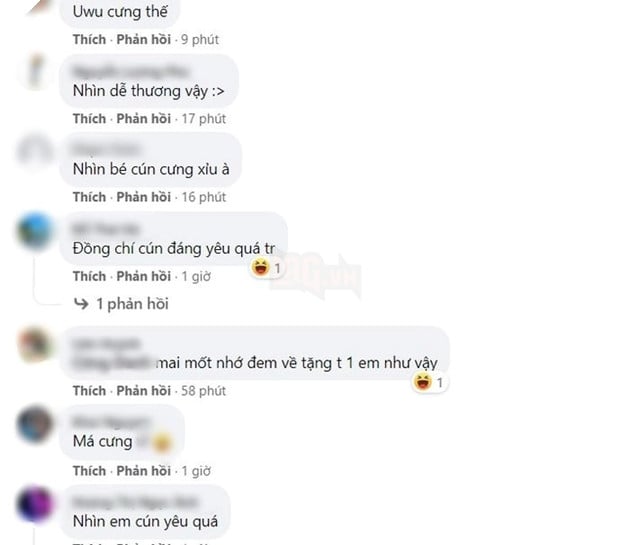 Xuất ngũ mang về cả mèo lẫn chó, những anh bộ đội chiếm trọn cảm tình của cư dân mạng 5