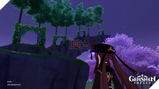 Game thủ Genshin Impact mượn game cầu hôn bạn gái bằng cách không thể nào độc đáo hơn 10