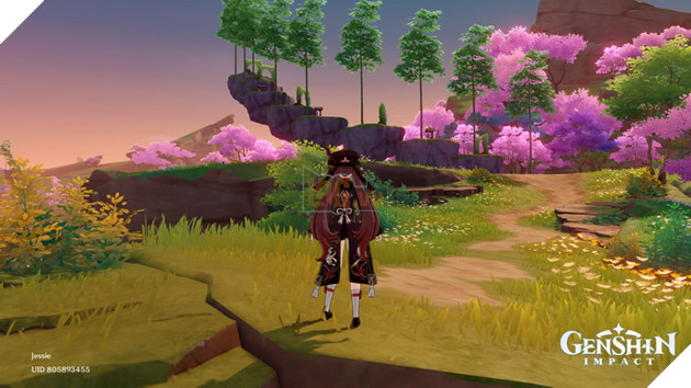 Game thủ Genshin Impact mượn game cầu hôn bạn gái bằng cách không thể nào độc đáo hơn 7