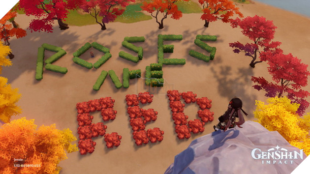 Game thủ Genshin Impact mượn game cầu hôn bạn gái bằng cách không thể nào độc đáo hơn 6