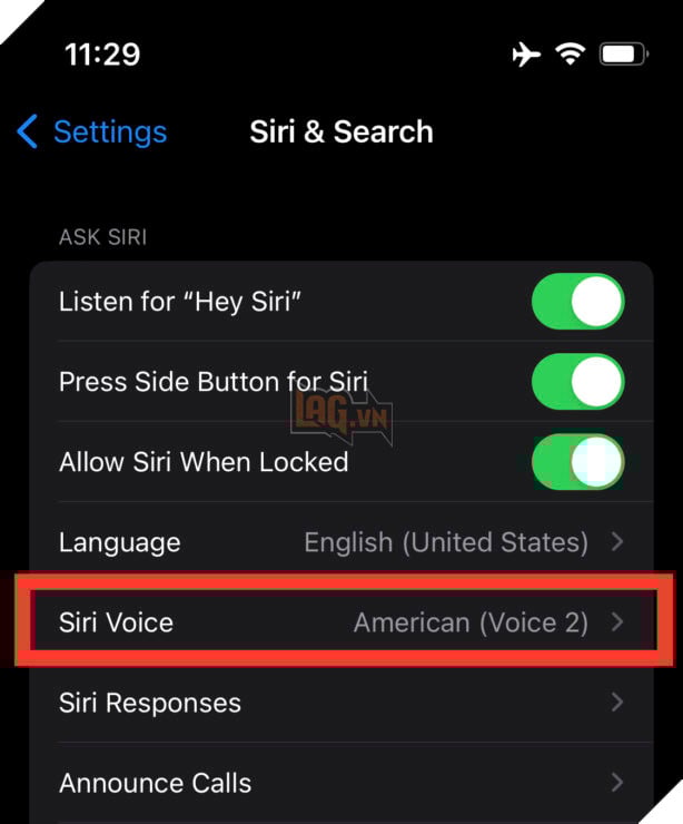 Cách thay đổi Voice và trọng âm của Siri trên iPhone và iPad 3