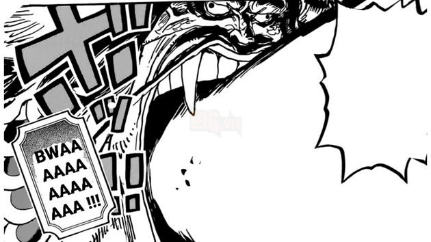 meme one piece chap 1037