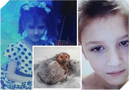 Girl survives blizzard after hugging dog