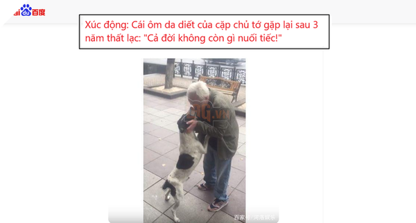  
Bài viết chạm đến trái tim hàng triệu người. (Ảnh: Chụp màn hình trang Baidu)