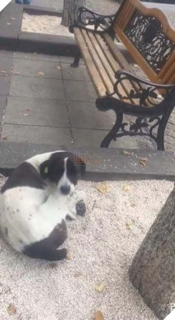  
Jorge lang thang khắp thành phố suốt 3 năm. (Ảnh: Baidu)