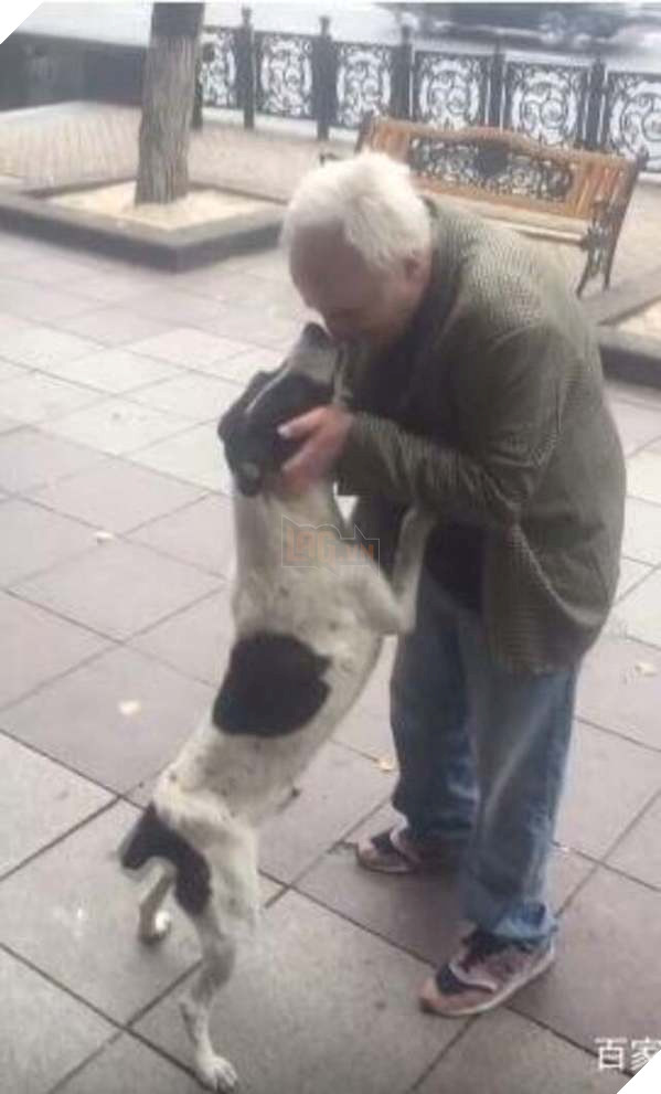  
Khoảnh khắc gặp lại của đôi chủ tớ khiến nhiều người xúc động. (Ảnh: Baidu)