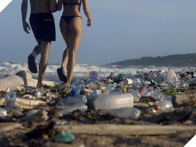 Trang web người lớn số 1 thế giới bất ngờ ủng hộ nội dung học tập và bảo vệ môi trường 3