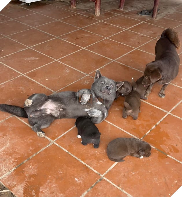 Idol Nguyễn Văn Dúi - Ngày nào còn thơ với khuôn mặt gợi đòn nay đã là bố của tụi nhỏ 19