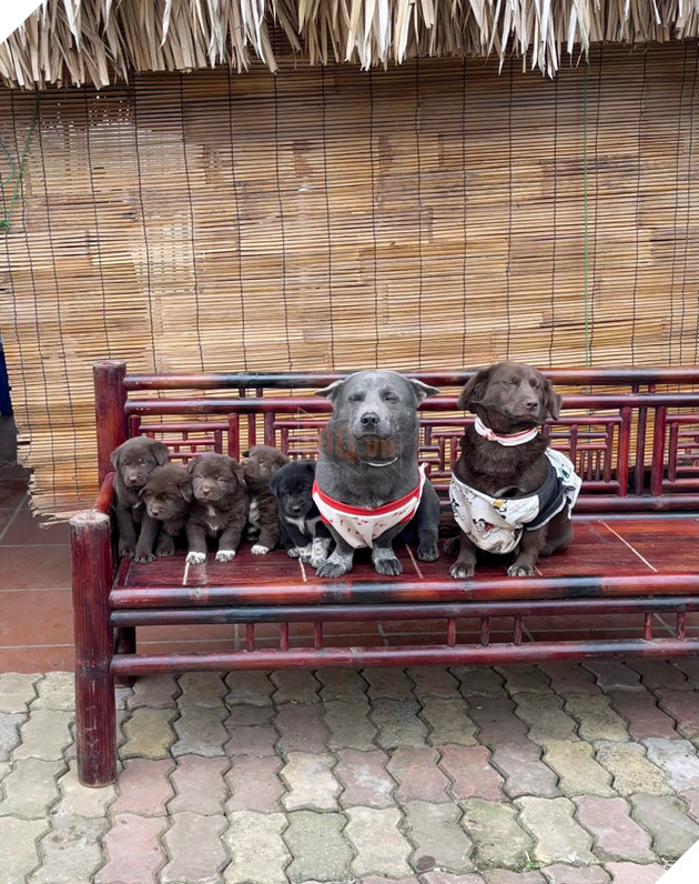 Idol Nguyễn Văn Dúi - Ngày nào còn thơ với khuôn mặt gợi đòn nay đã là bố của tụi nhỏ 16