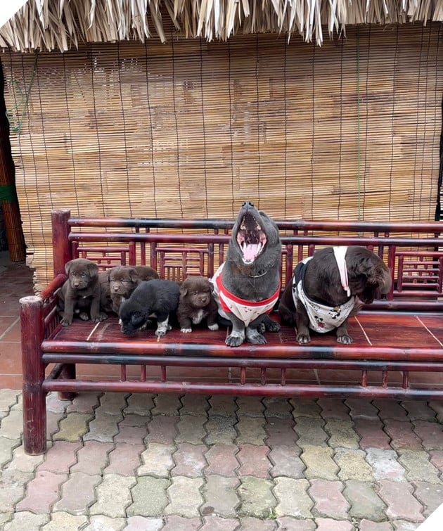 Idol Nguyễn Văn Dúi - Ngày nào còn thơ với khuôn mặt gợi đòn nay đã là bố của tụi nhỏ 17