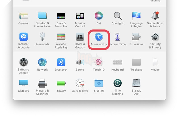 Hướng dẫn cách thay đổi màu sắc và kích thước của con trỏ chuột trên máy Mac 2