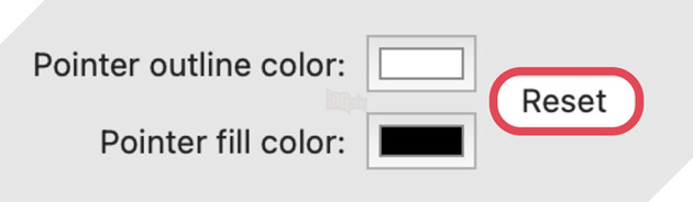 Hướng dẫn cách thay đổi màu sắc và kích thước của con trỏ chuột trên máy Mac 4