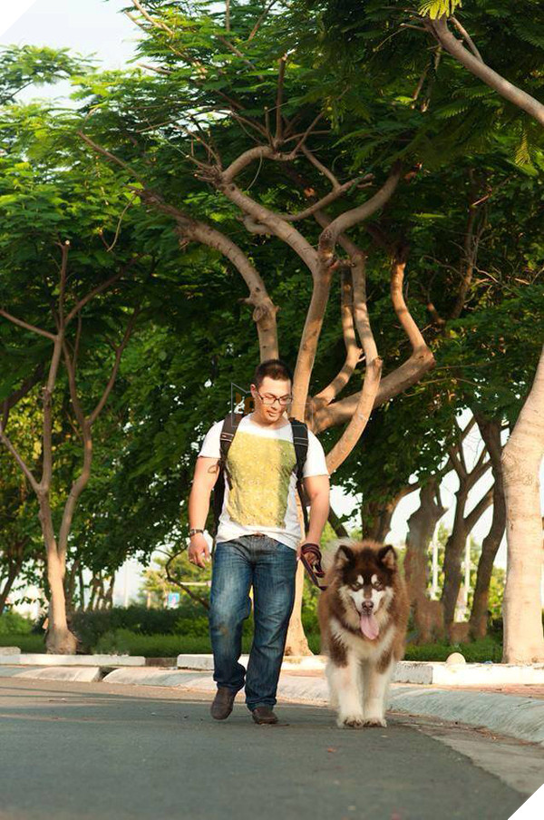 Thấy chủ bị vợ đánh, chú chó Alaska lập tức lao ra bênh vực 8