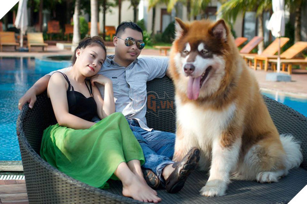 Hình ảnh của chú chó trong clip đi resort cùng ông bà chủ.