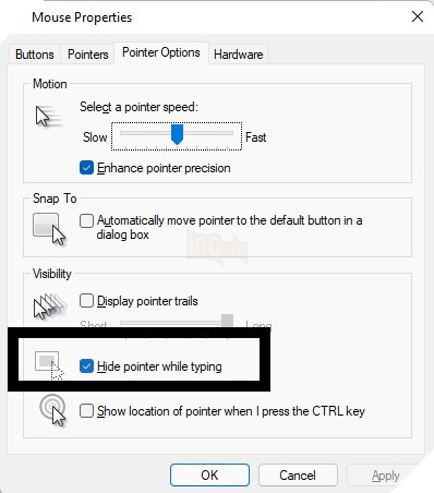 Hướng dẫn cách ẩn con trỏ chuột khi nhập văn bản trên Windows 11 6