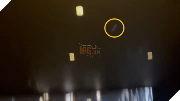 Rạp phim chơi lớn thả dơi thật giữa rạp trong lúc The Batman đang chiếu 2