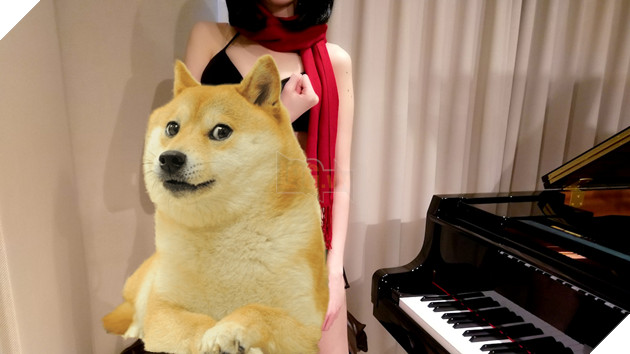 Pan Piano bất ngờ hở triệt để sau khi bị Youtube tắt chức năng kiếm tiền 3