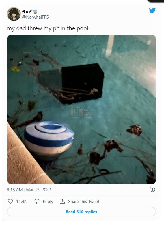 Game thủ quốc tế nổi giận khi một streamer Valorant bị bố của mình vứt dàn PC xuống hồ bơi