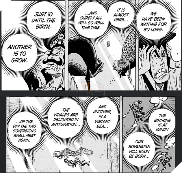 One Piece: Đây là lý do Luffy 'thức tỉnh' thành Joy Boy! 4