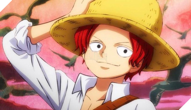 Shanks là người sắp xếp mọi thứ.
