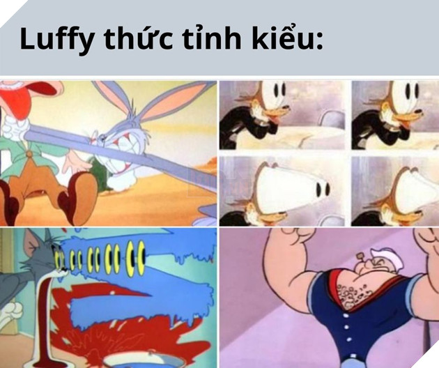 Meme One Piece Tập 1044
