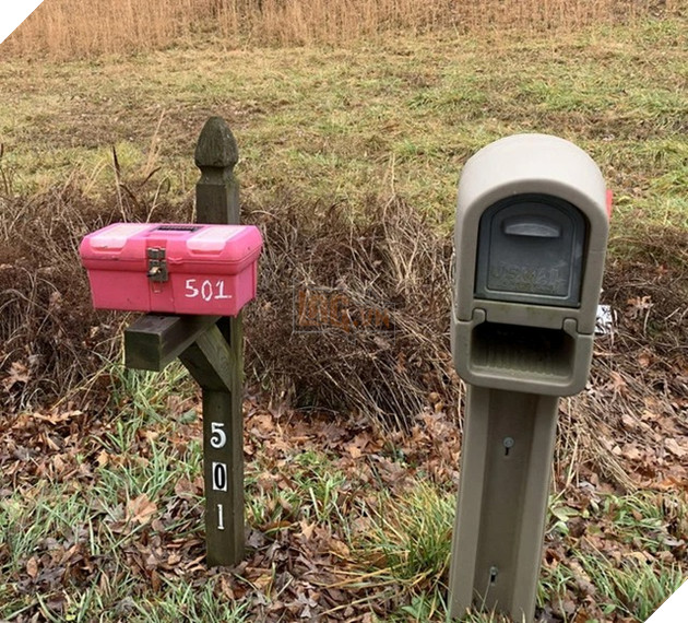 Bất ngờ với sự sáng tạo của con người trong việc giải quyết vấn đề, chỉ là có phần hơi quái dị mà thôi 7