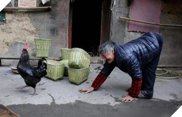 'Làng bò' kỳ lạ, người dân không ai biết đi, chỉ có thể bò bằng 4 chi 3