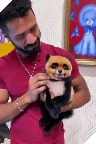 Hóa thân chú chó Phốc thành gấu trúc siêu xinh, nam TikTok-er nhận mưa lời khen từ cư dân mạng 5