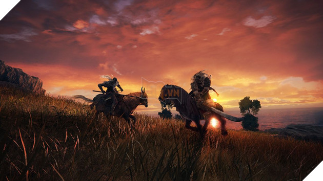 Photo of Người chơi phát hiện thông điệp nửa mùa trong Elden Ring