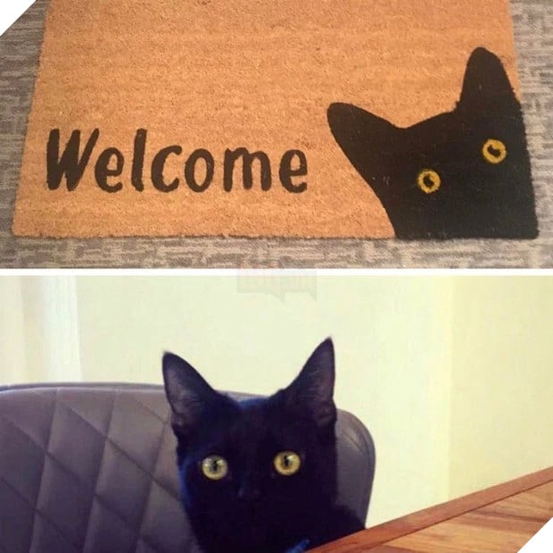 Tổng hợp những sự trùng hợp đến kỳ lạ khiến không ít người xem phải ngỡ ngàng 9