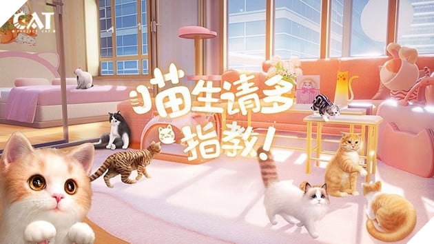 Photo of Project Cat – Game giả lập nuôi mèo siêu chân thực từ nhà phát triễn Võ Lâm Truyền Kỳ
