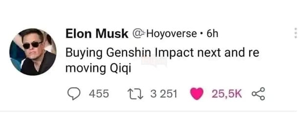 Game thủ đề xuất Elon musk mua lại tác động genshin và xóa qiqi