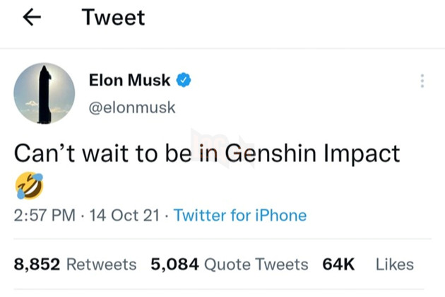 Game thủ đề xuất Elon musk mua lại tác động genshin và xóa qiqi