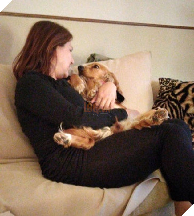 20 bé thú cưng dù im lặng nhưng lại có tấm lòng yêu thương sen vô bờ bến 19