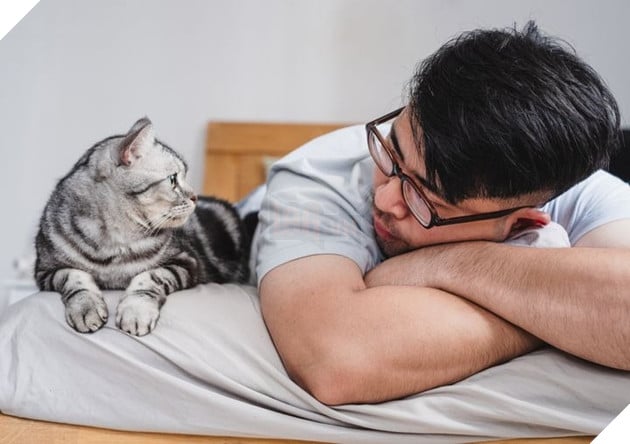 Nghiên cứu chỉ ra những con mèo láo toét là do bắt chước tính cách và lối sống của người chủ 2