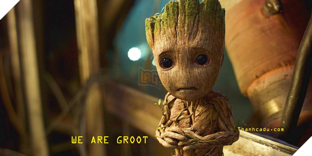 we are groot