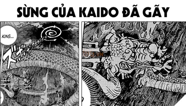 Kaido chính thức gãy sừng trong One Piece chap 1049, ngày tàn của băng Bách Thú đã đến
