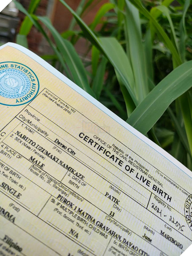 fan đặt tên con là naruto