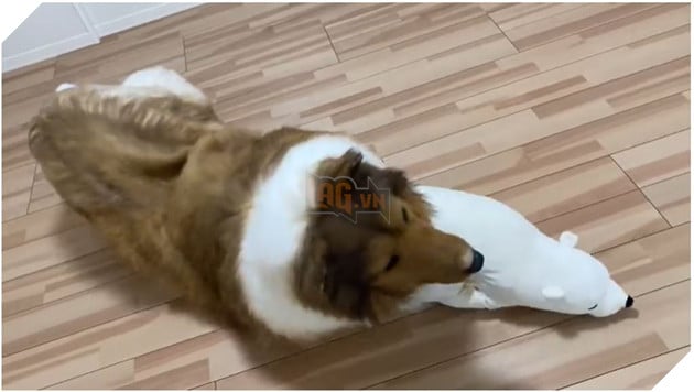 người đàn ông muốn sống một cuộc đời như thú cưng