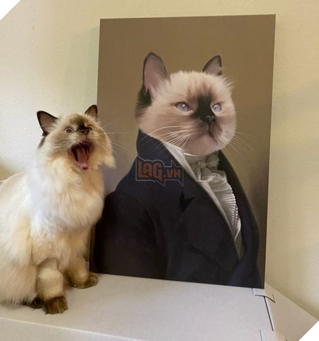 18 thú cưng thể hiện cảm xúc của mình mà không cần nói nên lời