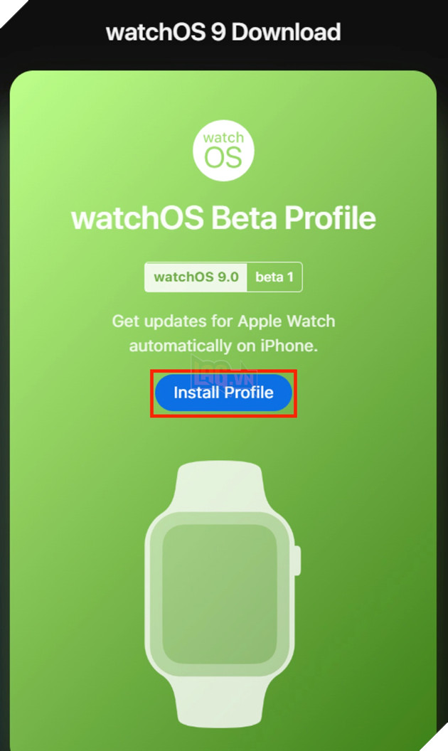 Hướng dẫn cách cập nhật iPadOS/ iOS 16 beta 