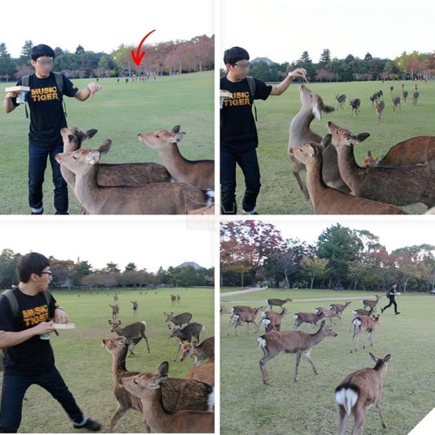 20 hình ảnh về con người gặp gỡ những loài vật hoang dã