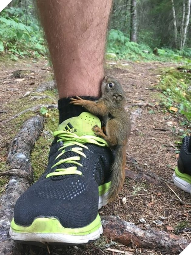 20 hình ảnh về con người gặp gỡ những loài vật hoang dã